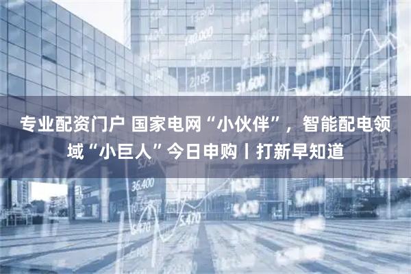 专业配资门户 国家电网“小伙伴”，智能配电领域“小巨人”今日申购丨打新早知道