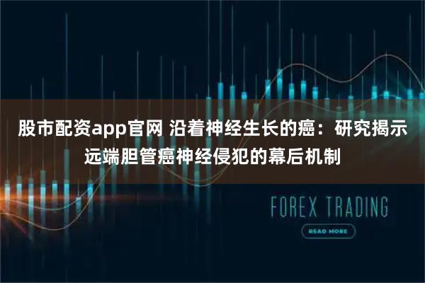 股市配资app官网 沿着神经生长的癌：研究揭示远端胆管癌神经侵犯的幕后机制