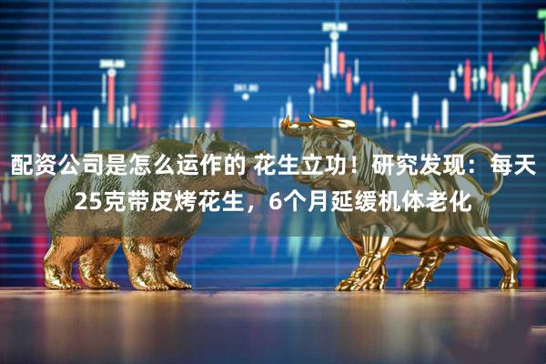 配资公司是怎么运作的 花生立功！研究发现：每天25克带皮烤花生，6个月延缓机体老化